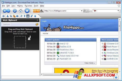 Ekrano kopija Flock Windows XP
