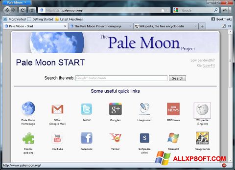 Ekrano kopija Pale Moon Windows XP