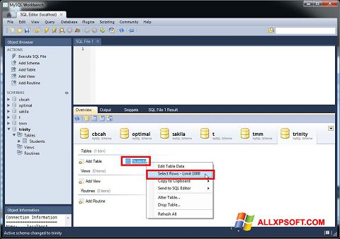 Ekrano kopija MySQL Workbench Windows XP