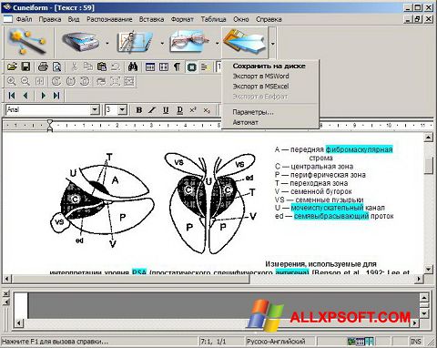 Ekrano kopija CuneiForm Windows XP