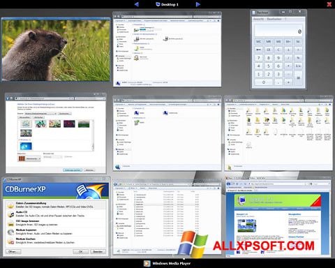 Ekrano kopija Dexpot Windows XP