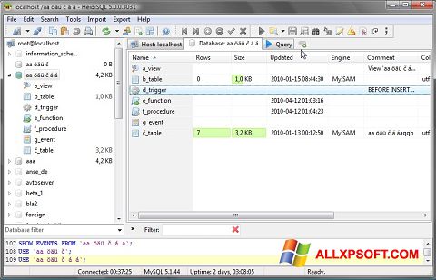 Ekrano kopija HeidiSQL Windows XP