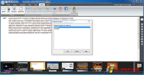 Ekrano kopija Snagit Windows XP