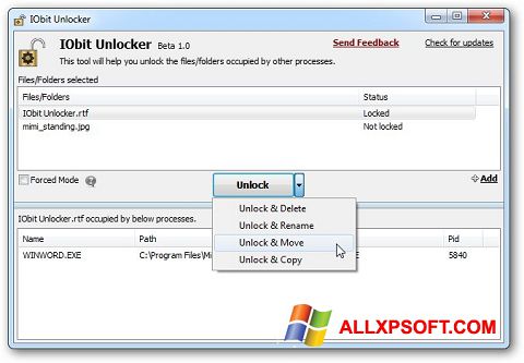 Ekrano kopija IObit Unlocker Windows XP