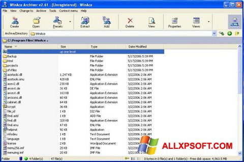 Ekrano kopija WinAce Windows XP