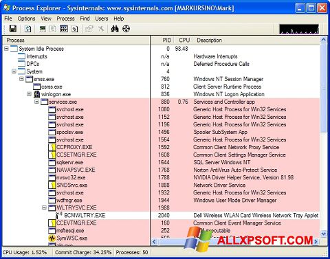 Ekrano kopija Process Explorer Windows XP