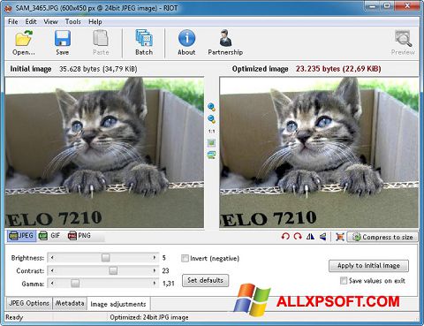 Ekrano kopija RIOT Windows XP