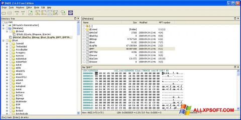 Ekrano kopija DMDE Windows XP