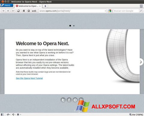 Ekrano kopija Opera Developer Windows XP